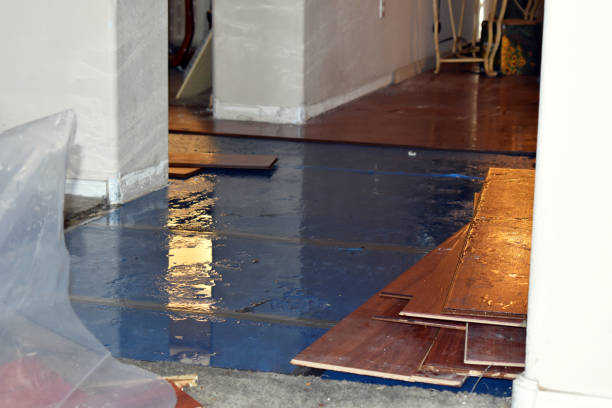 Professional Sewage Cleanup technician working in Hudson, NC